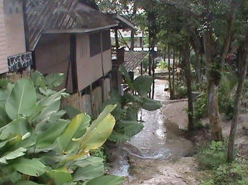 Nature Park