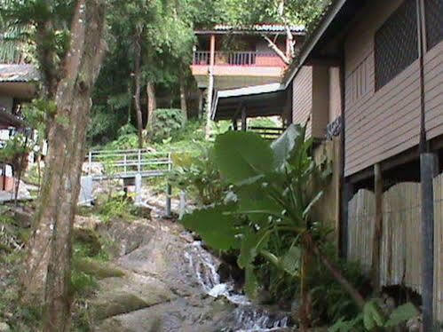 Nature Park 2*