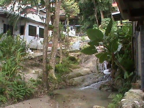 Nature Park